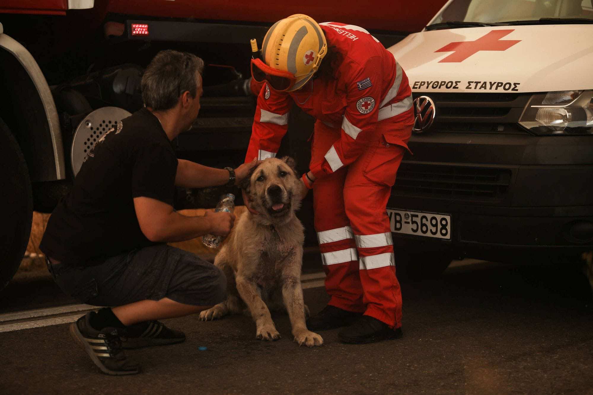 Ένας εθελοντής και ένας πυροσβέστης χαϊδεύουν και δίνουν νερό σε έναν σκύλο