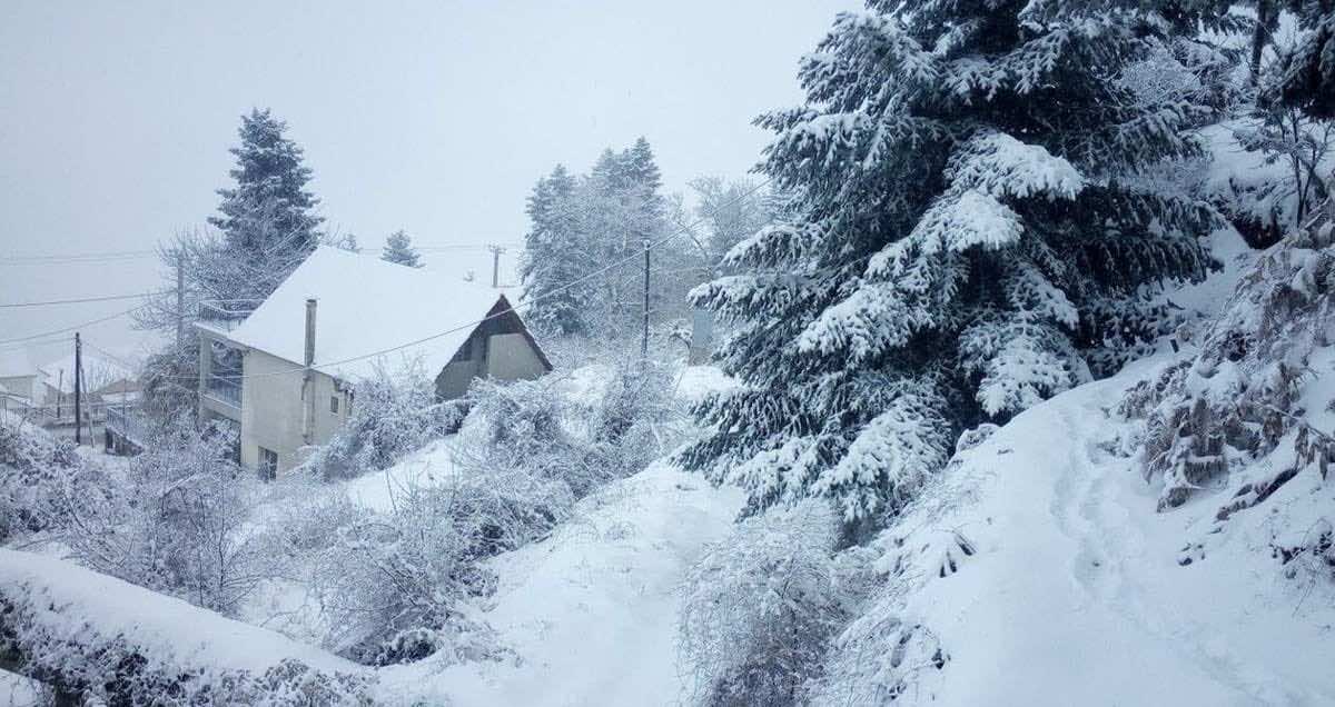Σπίτι πνιγμένο στο χιόνι και χιονισμένα δέντρα
