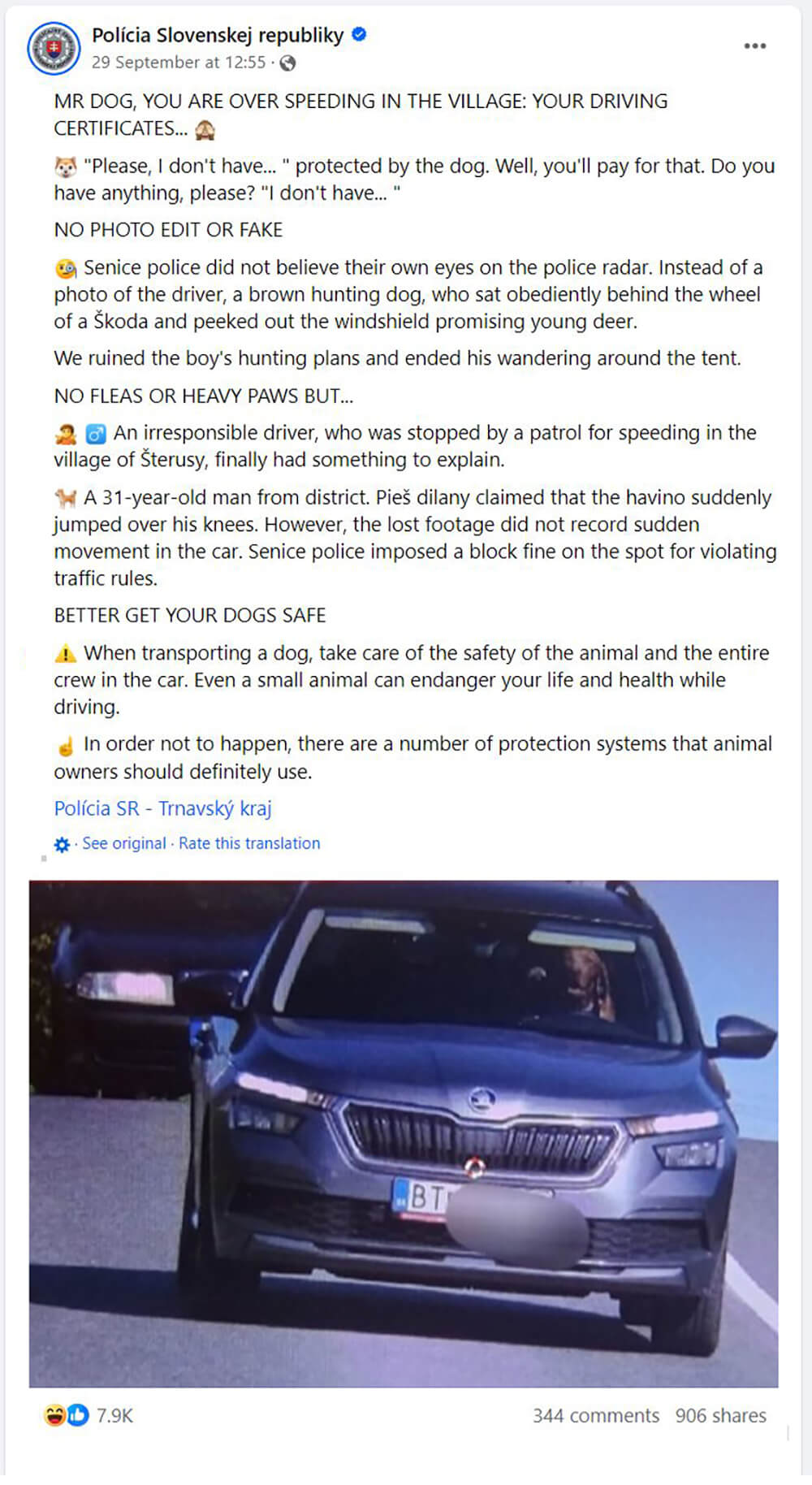 Ανάρτηση στο Facebook με φωτογραφία αυτοκινήτου με σκύλο στη θέση του οδηγού