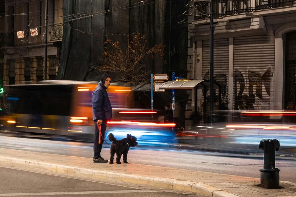 νύχτα στην πόλη, άνδρας με μαύρο σκύλο στέκεται σε νησίδα δρόμου, στο φόντο φώτα διερχόμενων αυτοκινήτων και κλειστά μαγαζιά