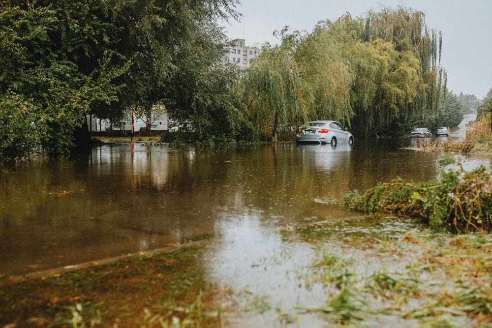 Ανοιχτός χώρος με δέντρα πλημμυρισμένος, στο βάθος αυτοκίνητα μέσα στα νερά