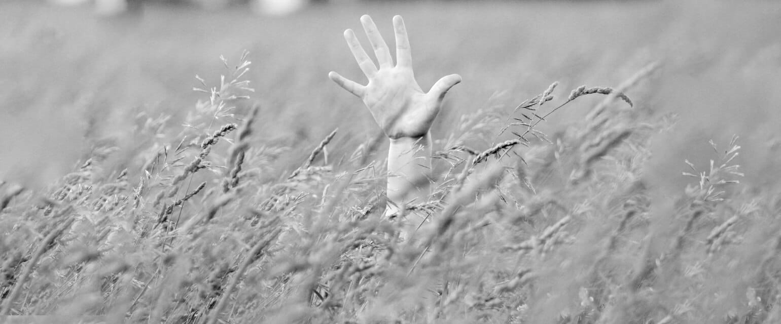 Πώς δηλώνω ακαθάριστα οικόπεδα & τι ισχύει για το πρόστιμο